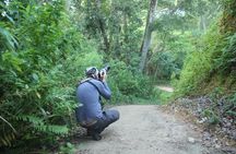Forest waterfall Wellness Zone & Yoga Meditation,waterfall Bath.
