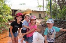 Malcolm Douglas Crocodile Park Tour Including Transportation