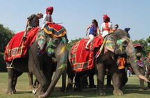 Colors of Rajasthan Tour Is 13 Night 14 Days Private India Tour from Delhi