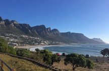 Cape Peninsula E-bike Cycle with Vehicle - Private Tour