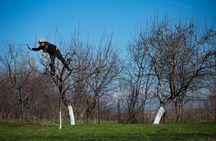 Armenia 5 days 4 nights -2025