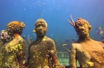 ALL INCLUSIVE Full Day snorkeling & sunset cruise with boat dogs