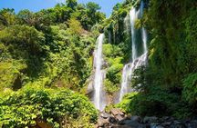 Bali Waterfalls Tour - One Day Private Tour