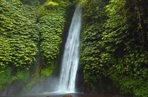Bali Waterfalls Tour - One Day Private Tour