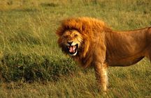 2 Days Hluhluwe Game Reserve & Isimangaliso Wetlands from Durban