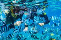 [Okinawa Blue Cave] Snorkeling with Private Guide+ Free Photos