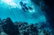 [Okinawa Blue Cave] Snorkeling with Private Guide+ Free Photos