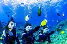 Blue Cave Introductory Dive–Private Guide, Boat Tour&Free Photos