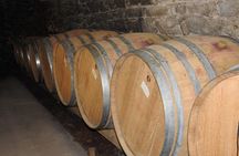 Northern Rhône Valley From Lyon Full day