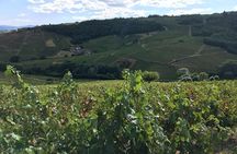 Beaujolais Crus wine tour from Lyon Full day