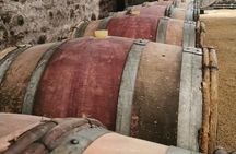 Beaujolais Crus wine tour from Lyon Full day