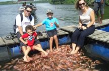 Galle Day Tour from Colombo/Negombo by Private Car or Van