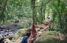 Small-Group Hiking Adventure through Grand Etang National Park in Grenada