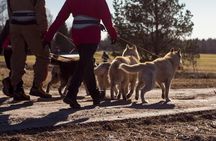 Tour to Husky Park with Cani-Cross Hike