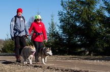 Tour to Husky Park with Cani-Cross Hike