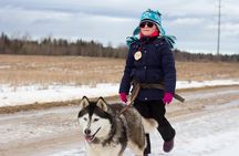 Tour to Husky Park with Cani-Cross Hike