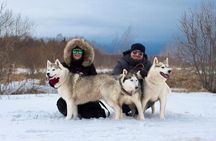 Tour to Husky Park with Cani-Cross Hike