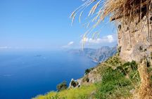 Guided Day Hike on the Path of the Gods with Sorrento Transfer