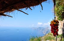 Guided Day Hike on the Path of the Gods with Sorrento Transfer