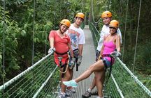 Roatan: EcoWalk and Beach Trip Combo