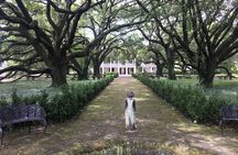 Two Plantation Tour: Oak Alley and Laura or Whitney