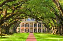 Two Plantation Tour: Oak Alley and Laura or Whitney