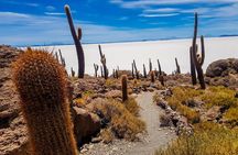 Uyuni Salt Flats - 3 Days / 2 Nights - English Speaking Guide