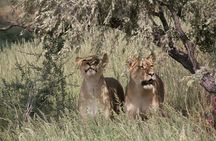 Chobe Day Trip -Botswana