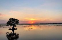 Sunset Airboat Ride