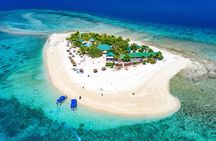 Finding Nemo - Half Day Cruise to South Sea Island