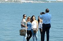 Private Chicago City Minibus Tour