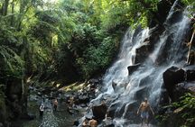 Private Waterfall Tour Feature Tukad Cepung, Tibumana and Kanto Lampo 