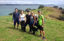 Waiheke Island Double Headland Coastal Walk