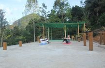 Yoga and Massage Nirvana.