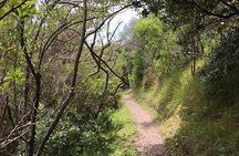 Waiheke Island Double Headland Coastal Walk