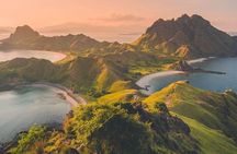 1 Day Komodo Trip by Private Fast Boat