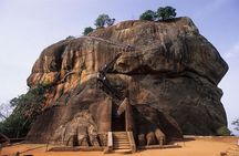 Sigiriya Rock and Dambulla Cave Temples from Negombo (All inclusive day tour)