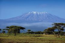 1 Day Mount Kilimanjaro Hike Trip