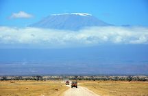 1 Day Mount Kilimanjaro Hike Trip