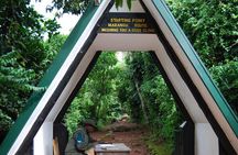 1 Day Mount Kilimanjaro Hike Trip