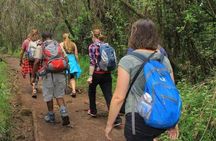 1 Day Mount Kilimanjaro Hike Trip