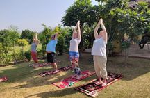 Rishikesh Yoga Tour 
