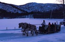 Sleigh Ride w/ Tapas Meal - Experience Arctic Farm Life 