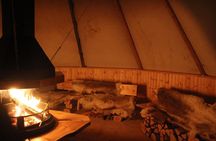 Sleigh Ride w/ Tapas Meal - Experience Arctic Farm Life 