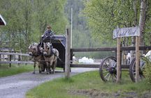 Sleigh Ride w/ snacks - Experience Arctic Farm Life