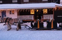 Sleigh Ride w/ snacks - Experience Arctic Farm Life