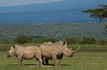  2 Days Tala Game Reserve & Natal Lion Park & Phezulu Park