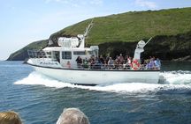 Blasket Island Eco Tour.