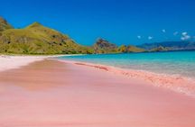 1 Day Komodo Trip by Private Fast Boat