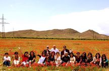 Group Tour: Shaki waterfall, Tatev monastery & ropeway, Hin Areni winery